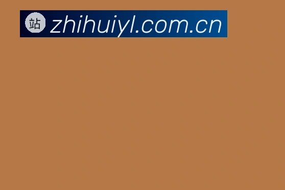 智慧娱乐网站官方网站2026最新版发布说明