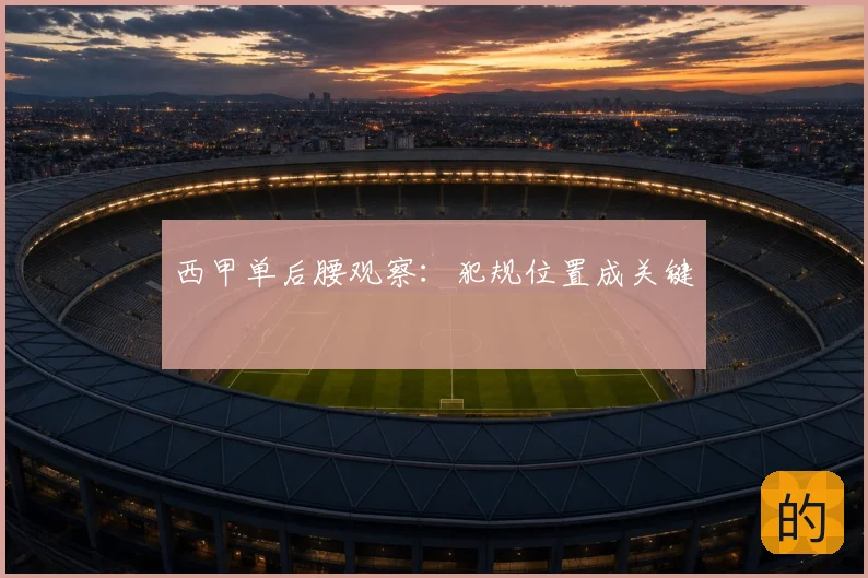 西甲单后腰观察：犯规位置成关键