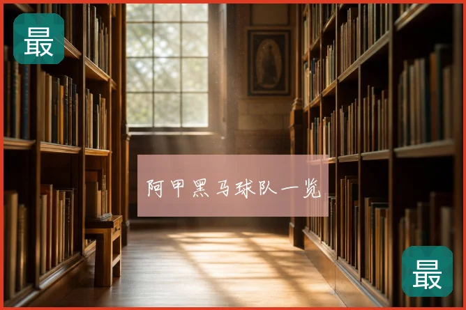 阿甲黑马球队一览